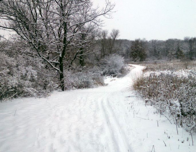 Cherokee Marsh South Skiing Cross Country Skiing Madison Parks